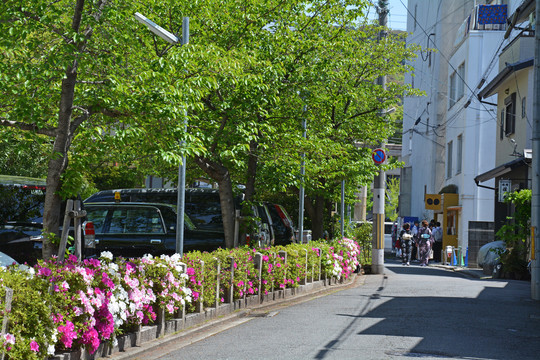 花见小路街景