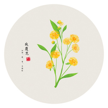 手繪旋覆花