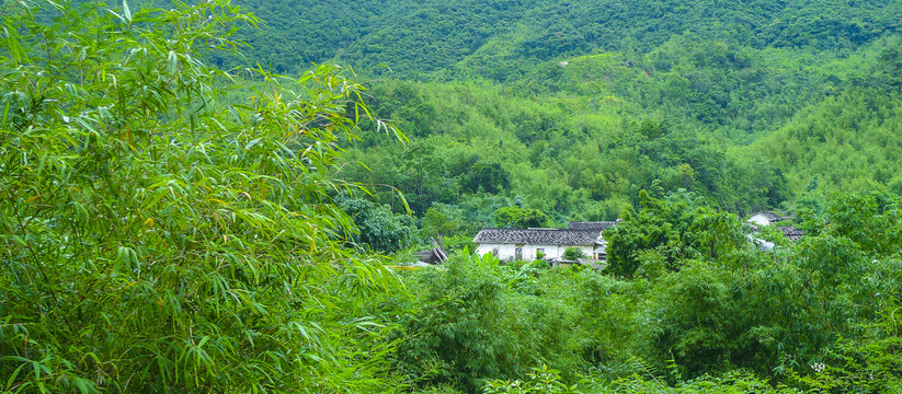 大山里的人家