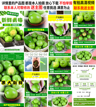 青梅詳情