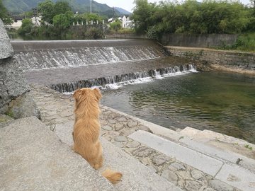 小村小景