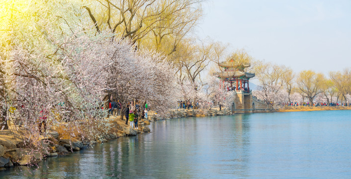 北京颐和园圆明园春季迷人风光