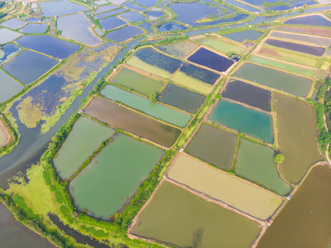 湖北大冶保安湖国家湿地公园航拍