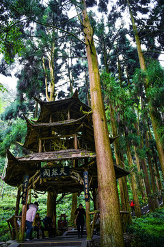 青城山天然阁