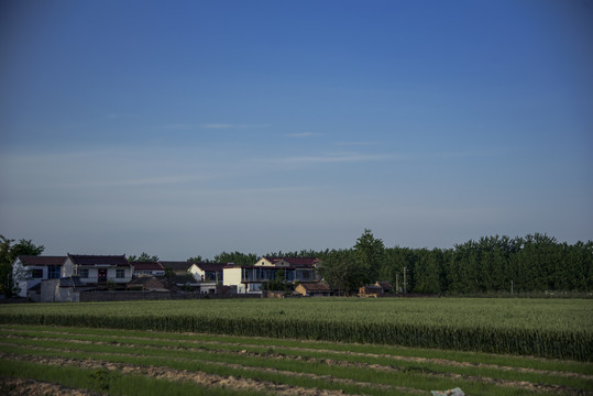 田野乡村