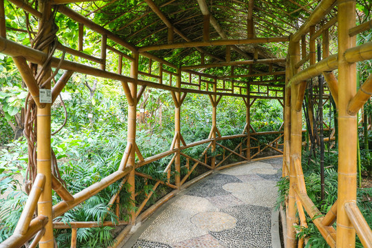 园林景观竹子走廊