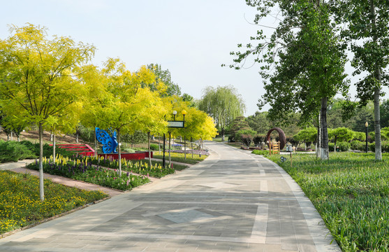 世界花卉大观园景观大道