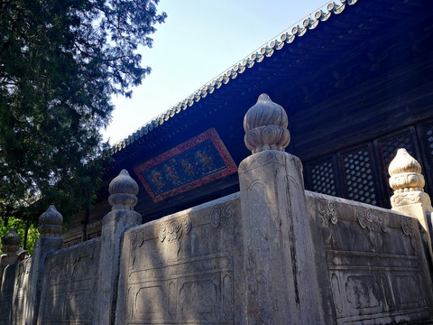 大觉寺