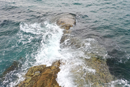 海水素材