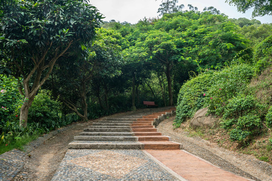 厦门东坪山公园与梅海岭景色