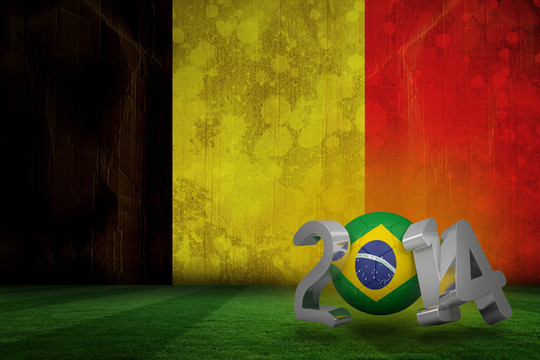 巴西世界杯对比利时国旗