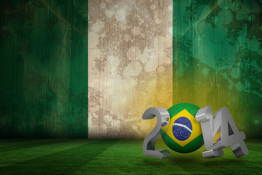 巴西世界杯对尼日利亚国旗