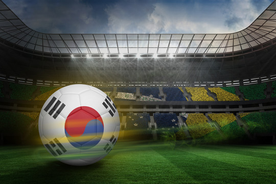 韩国足球与巴西球迷的大型足球场