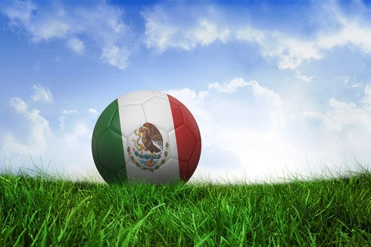 墨西哥的足球在蓝天下的草地上