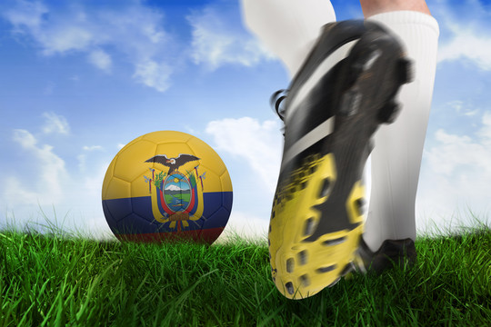 足球鞋把厄瓜多尔球踢向草地