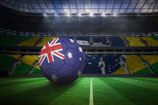 澳大利亚足球与巴西利亚球迷