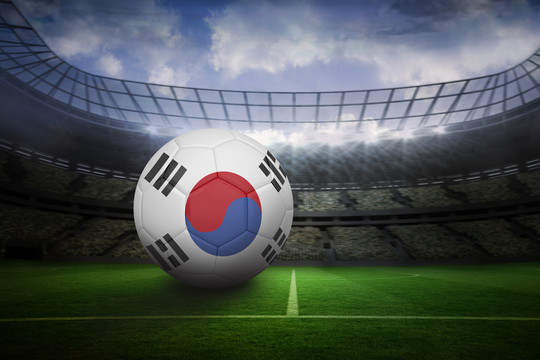 韩国足球在有灯光的大型足球场上