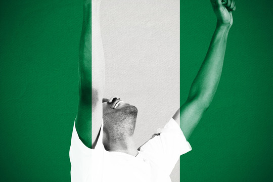球迷在尼日利亚国旗上欢呼