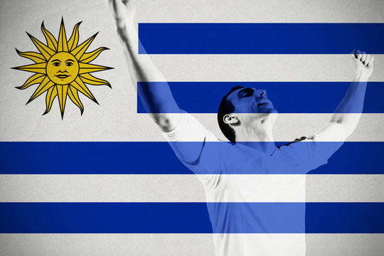 激动的球迷为乌拉圭国旗欢呼