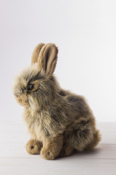 木地板上的小兔子