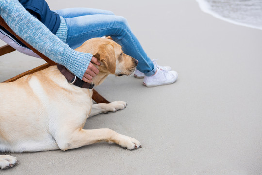 男人和宠物狗坐在沙滩上