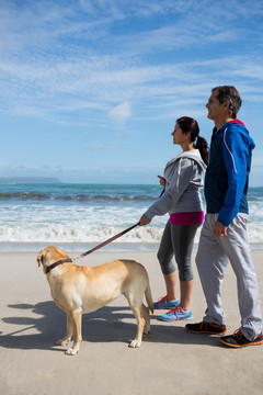 夫妻俩在海滩上和宠物狗慢跑