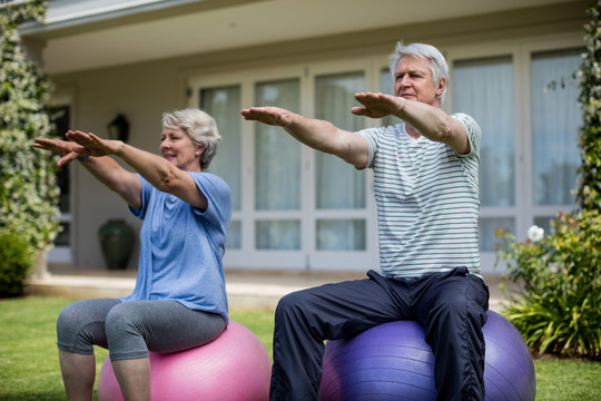 老年夫妇在草坪上练习健身球
