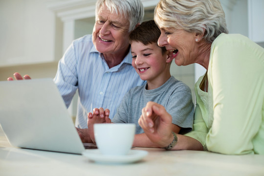 祖父母和孙子在家里用笔记本电脑