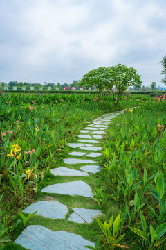 乡间田园田间小路