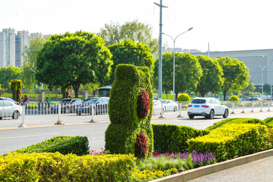 北京道路绿化带