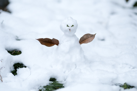 小雪人