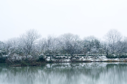 西溪雪景