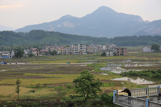 田园风光