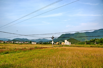 乡村田野