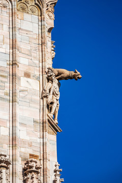 意大利米兰大教堂石雕