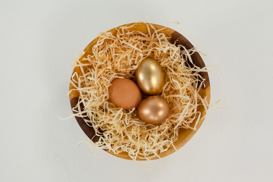 人工鸟巢和复活节彩蛋