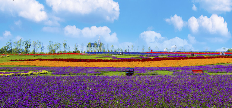 花海田园