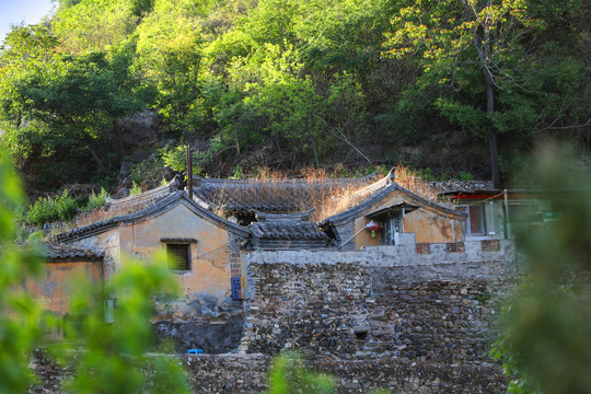 北京爨柏景区