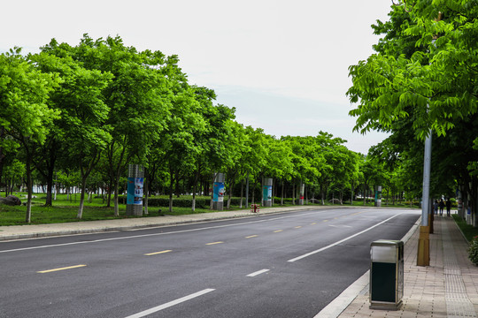 城市绿色道路
