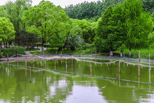 嘉兴南湖风光