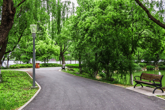 园林景观道路