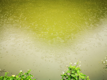 下雨天的湖面