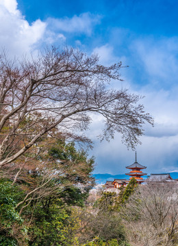 日本京都清水寺古庙的建筑风景