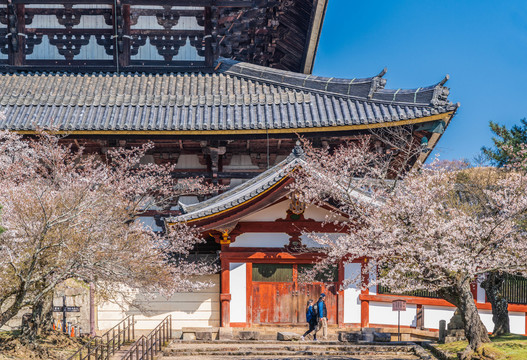 日本奈良公园大华寺建筑风景