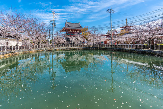 日本大阪四天王寺建筑风景