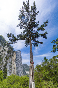 华山断崖石山