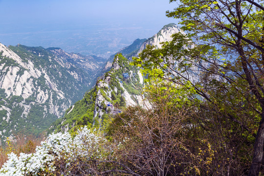 华山苍龙岭