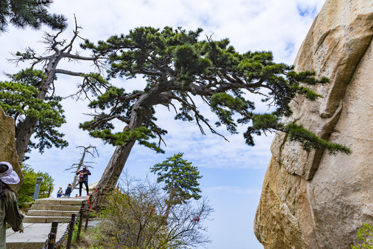 华山石景