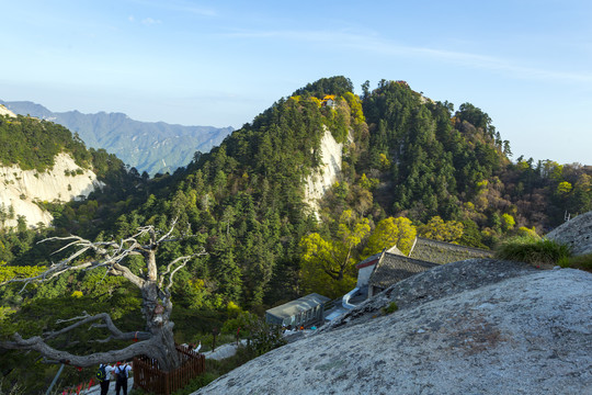 华山中峰