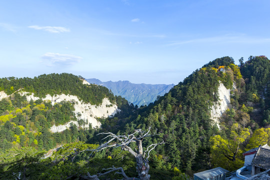 华山中峰